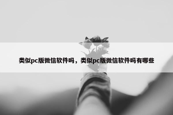 类似pc版微信软件吗，类似pc版微信软件吗有哪些