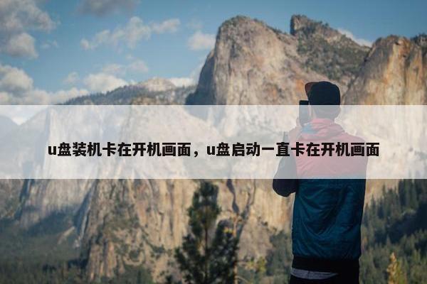 u盘装机卡在开机画面，u盘启动一直卡在开机画面