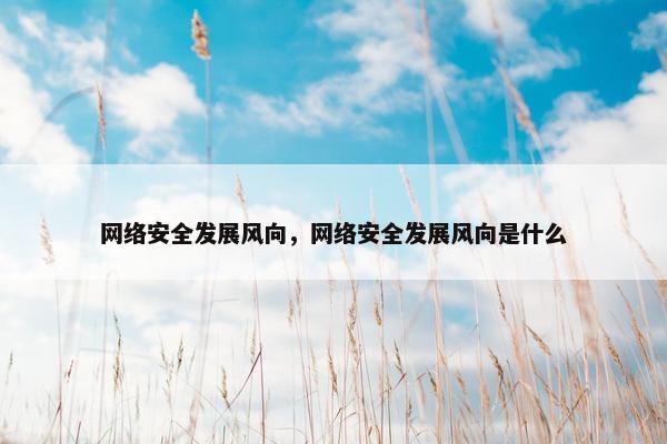 网络安全发展风向，网络安全发展风向是什么