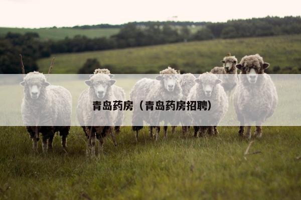 青岛药房（青岛药房招聘）