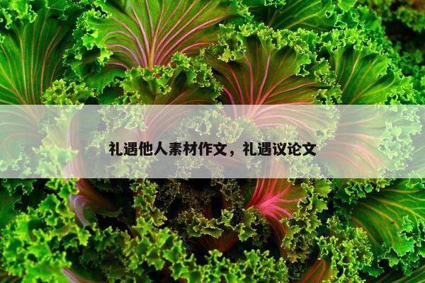 礼遇他人素材作文，礼遇议论文