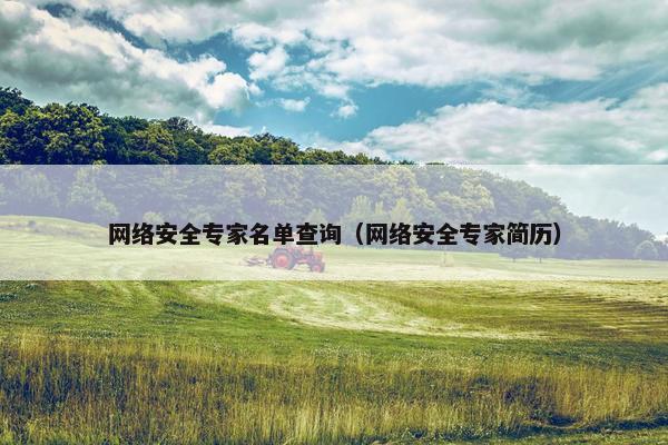 网络安全专家名单查询（网络安全专家简历）