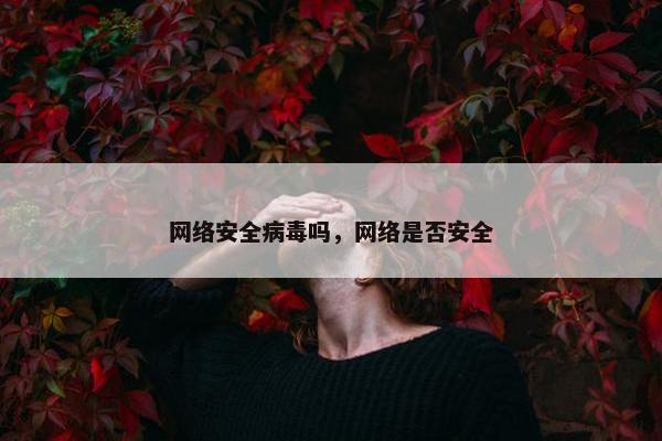 网络安全病毒吗，网络是否安全