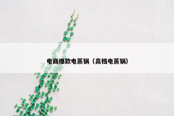 电商爆款电蒸锅（高档电蒸锅）