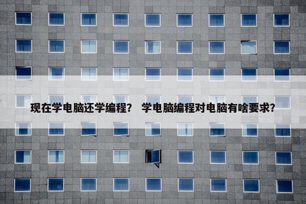 现在学电脑还学编程？ 学电脑编程对电脑有啥要求？