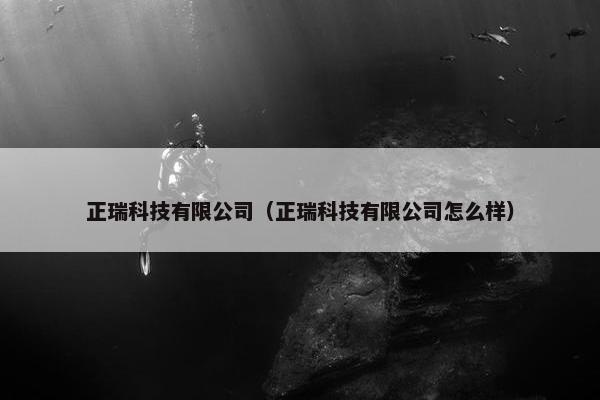 正瑞科技有限公司（正瑞科技有限公司怎么样）
