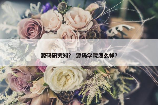 源码研究知？ 源码学院怎么样？