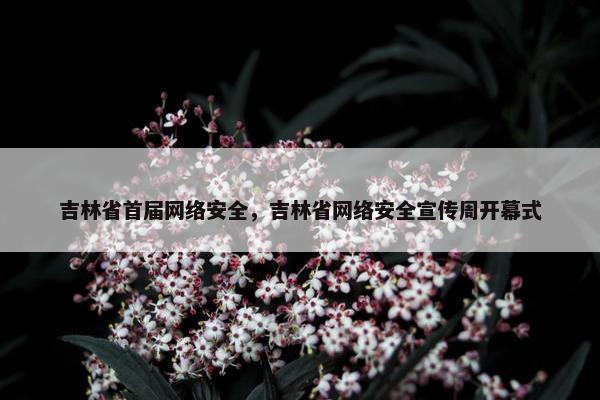 吉林省首届网络安全，吉林省网络安全宣传周开幕式