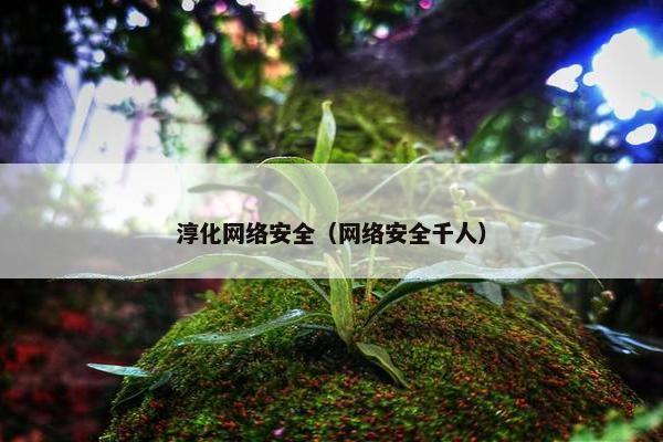 淳化网络安全（网络安全千人）