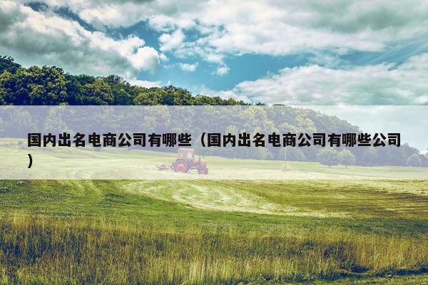 国内出名电商公司有哪些（国内出名电商公司有哪些公司）