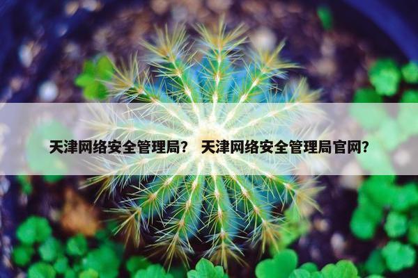 天津网络安全管理局？ 天津网络安全管理局官网？