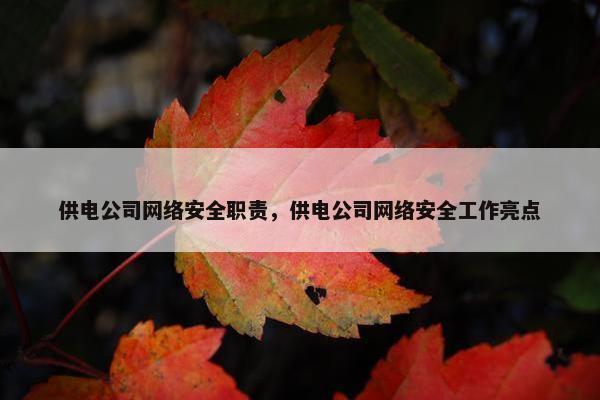 供电公司网络安全职责，供电公司网络安全工作亮点