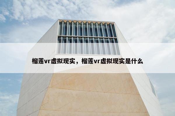 榴莲vr虚拟现实，榴莲vr虚拟现实是什么