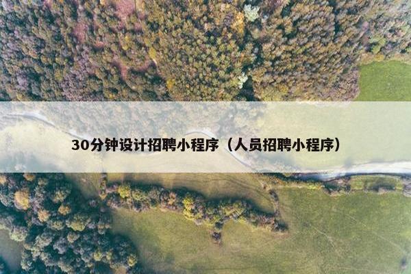 30分钟设计招聘小程序（人员招聘小程序）