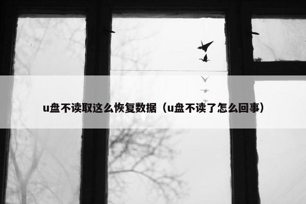 u盘不读取这么恢复数据（u盘不读了怎么回事）
