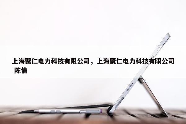 上海聚仁电力科技有限公司，上海聚仁电力科技有限公司 陈情