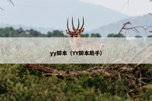 yy脚本（YY脚本助手）