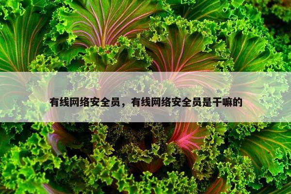 有线网络安全员，有线网络安全员是干嘛的