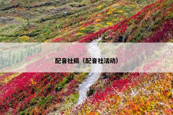 配音社稿（配音社活动）