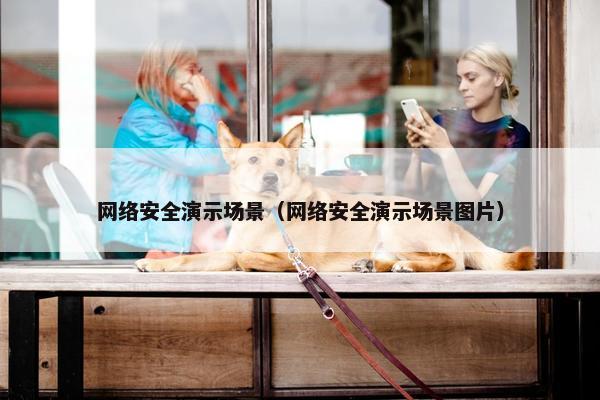 网络安全演示场景（网络安全演示场景图片）