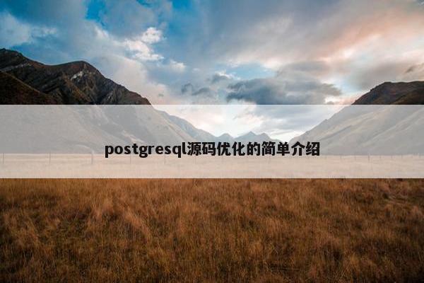 postgresql源码优化的简单介绍