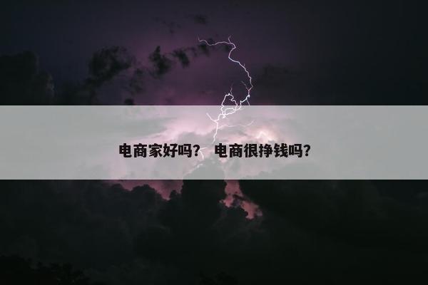 电商家好吗？ 电商很挣钱吗？