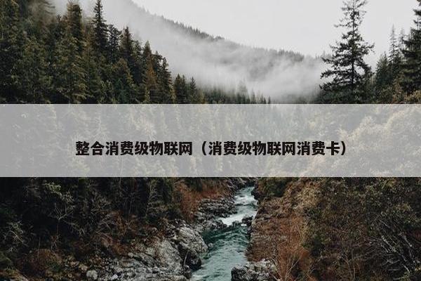 整合消费级物联网（消费级物联网消费卡）