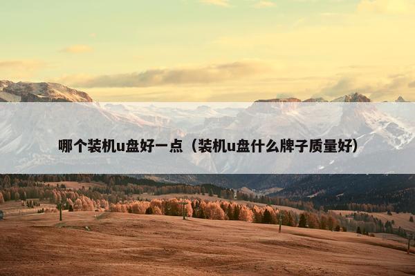 哪个装机u盘好一点（装机u盘什么牌子质量好）