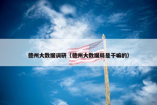 德州大数据调研（德州大数据局是干嘛的）