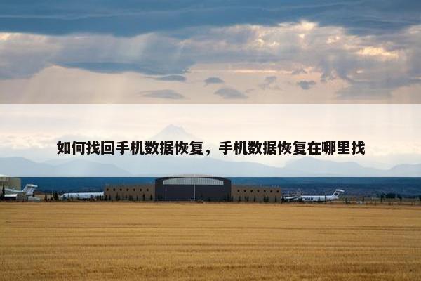 如何找回手机数据恢复，手机数据恢复在哪里找