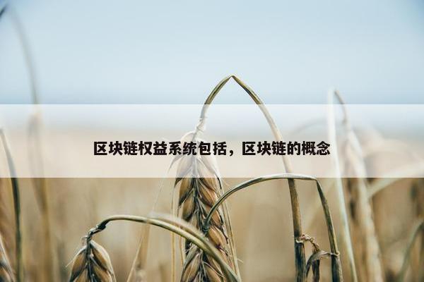区块链权益系统包括，区块链的概念