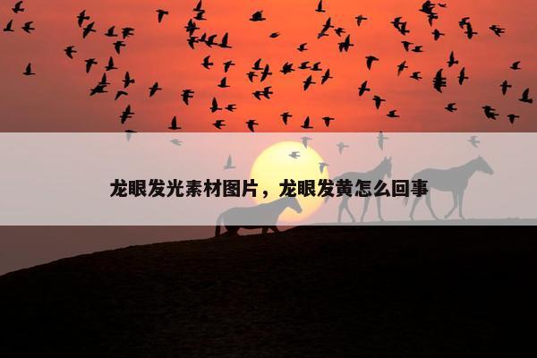 龙眼发光素材图片，龙眼发黄怎么回事