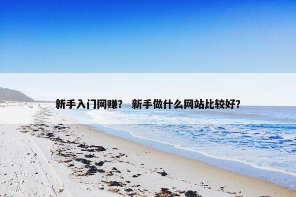 新手入门网赚？ 新手做什么网站比较好？