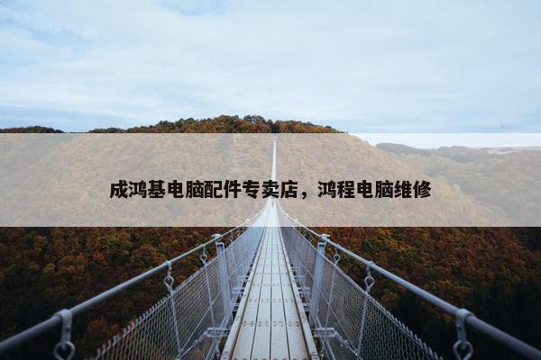 成鸿基电脑配件专卖店，鸿程电脑维修