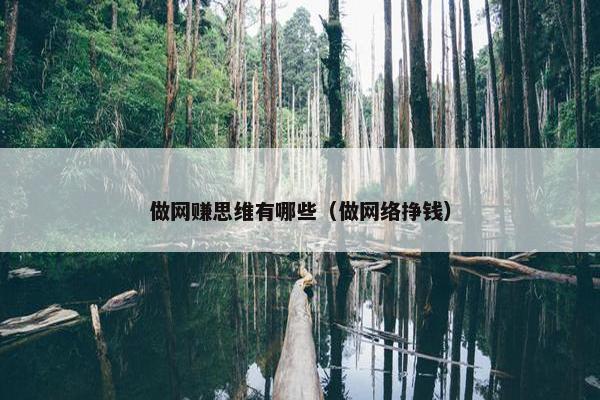 做网赚思维有哪些（做网络挣钱）