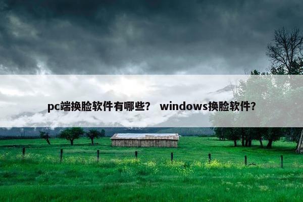pc端换脸软件有哪些？ windows换脸软件？