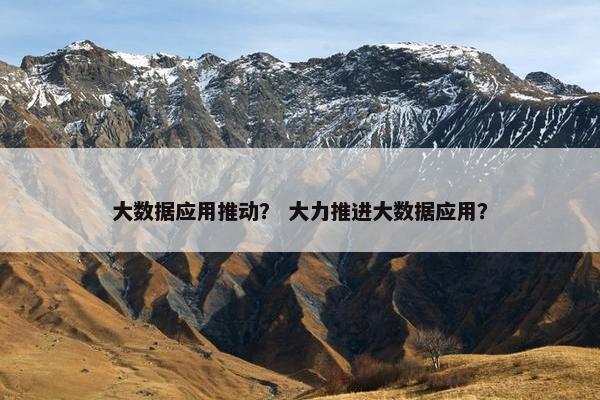 大数据应用推动？ 大力推进大数据应用？