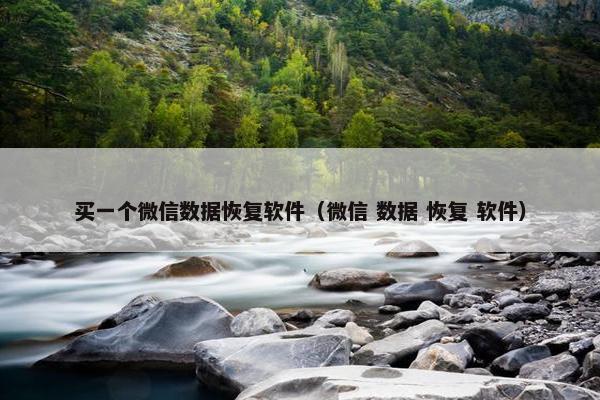 买一个微信数据恢复软件（微信 数据 恢复 软件）