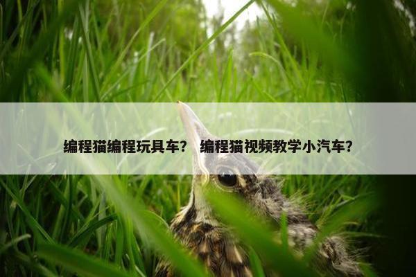 编程猫编程玩具车？ 编程猫视频教学小汽车？