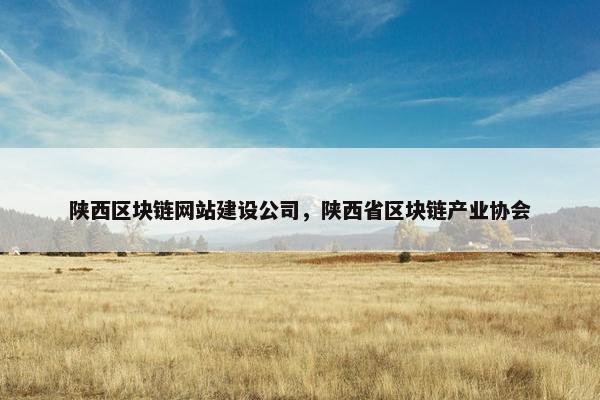 陕西区块链网站建设公司，陕西省区块链产业协会
