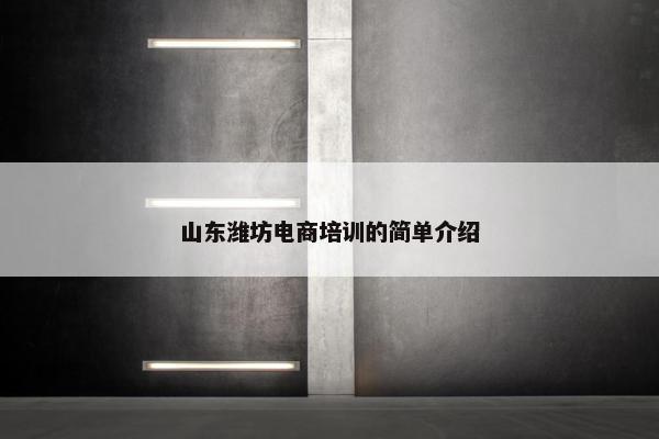 山东潍坊电商培训的简单介绍