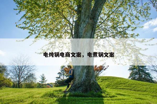 电炖锅电商文案，电煮锅文案