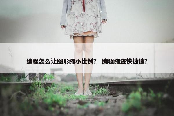 编程怎么让图形缩小比例？ 编程缩进快捷键？