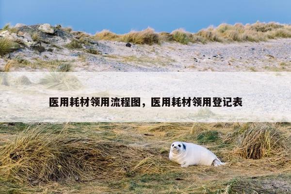 医用耗材领用流程图，医用耗材领用登记表