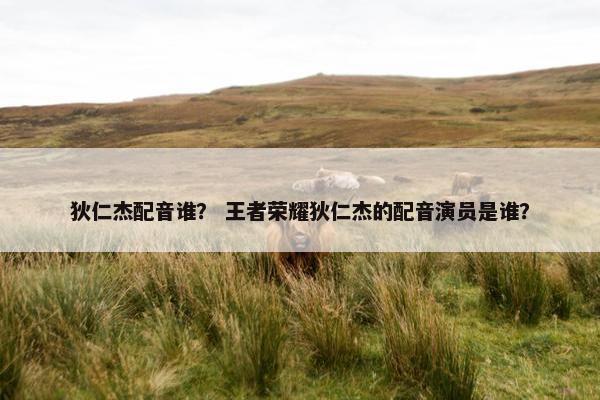 狄仁杰配音谁？ 王者荣耀狄仁杰的配音演员是谁？