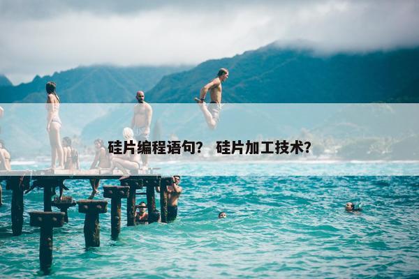 硅片编程语句？ 硅片加工技术？