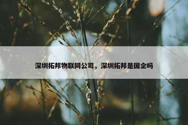 深圳拓邦物联网公司，深圳拓邦是国企吗