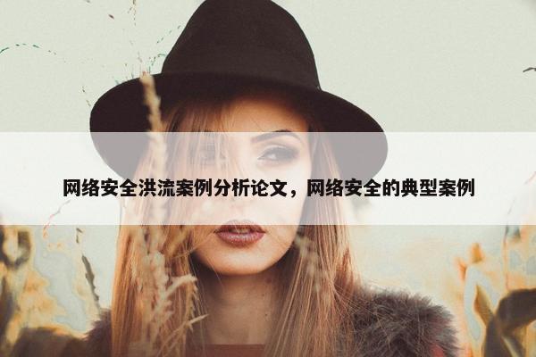 网络安全洪流案例分析论文，网络安全的典型案例