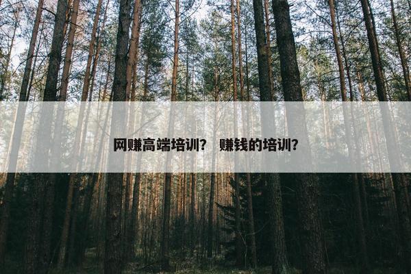 网赚高端培训？ 赚钱的培训？