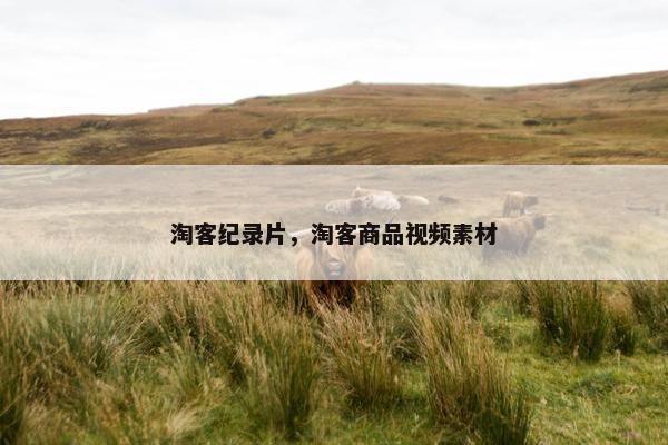 淘客纪录片，淘客商品视频素材